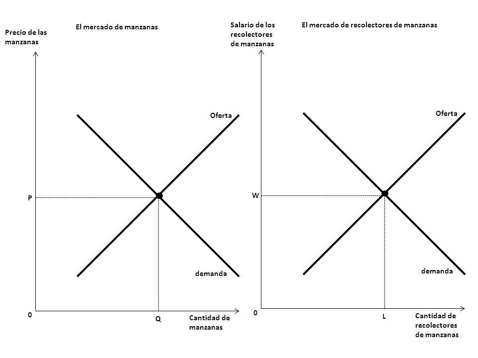 El mercado de manzanas Salario de los recolectores de manzanas. El mercado de recolectores de manzanas.
