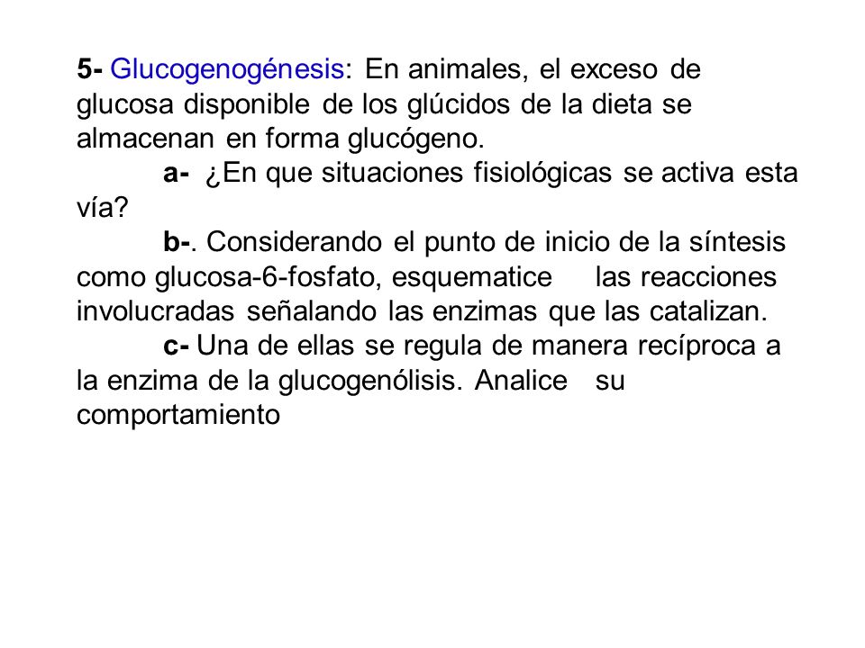 5- Glucogenogénesis: En animales, el exceso de glucosa disponible de los glúcidos de la dieta se almacenan en forma glucógeno.