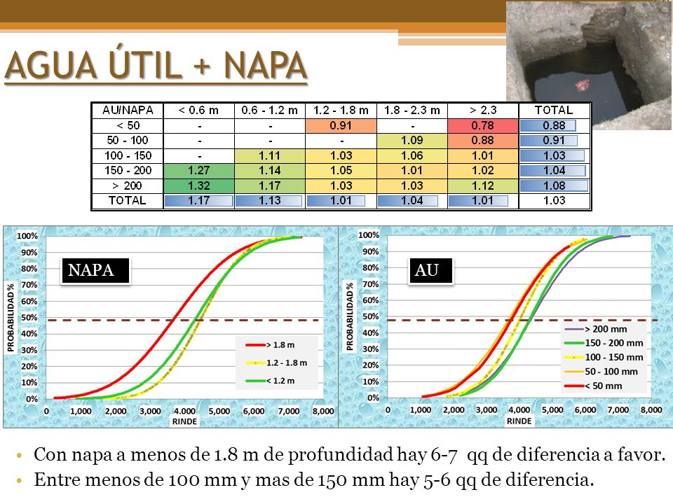 AGUA ÚTIL + NAPA NAPA. AU. Con napa a menos de 1.8 m de profundidad hay 6-7 qq de diferencia a favor.