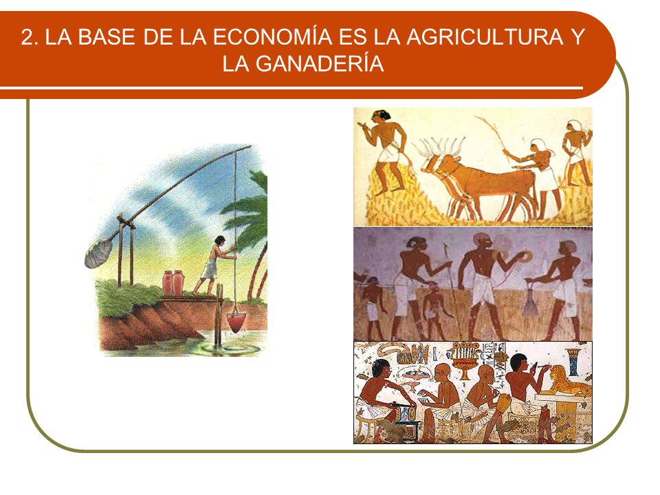 2. LA BASE DE LA ECONOMÍA ES LA AGRICULTURA Y LA GANADERÍA