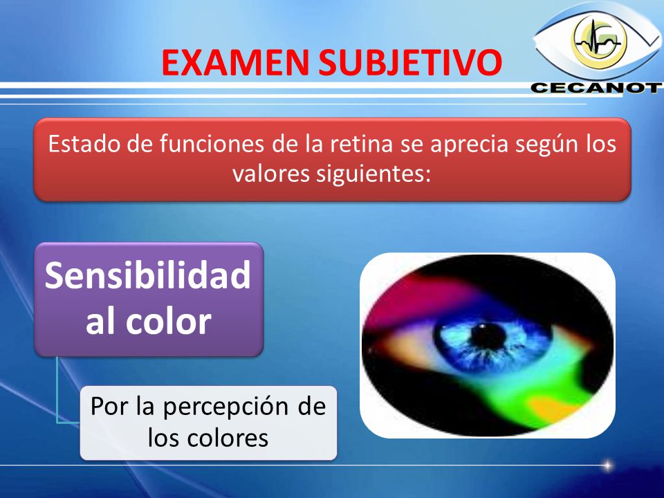 Por la percepción de los colores