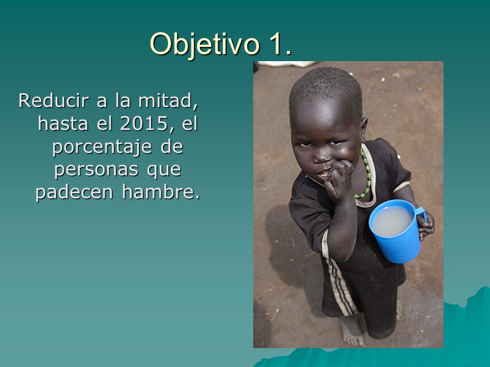 Objetivo 1. Reducir a la mitad, hasta el 2015, el porcentaje de personas que padecen hambre.