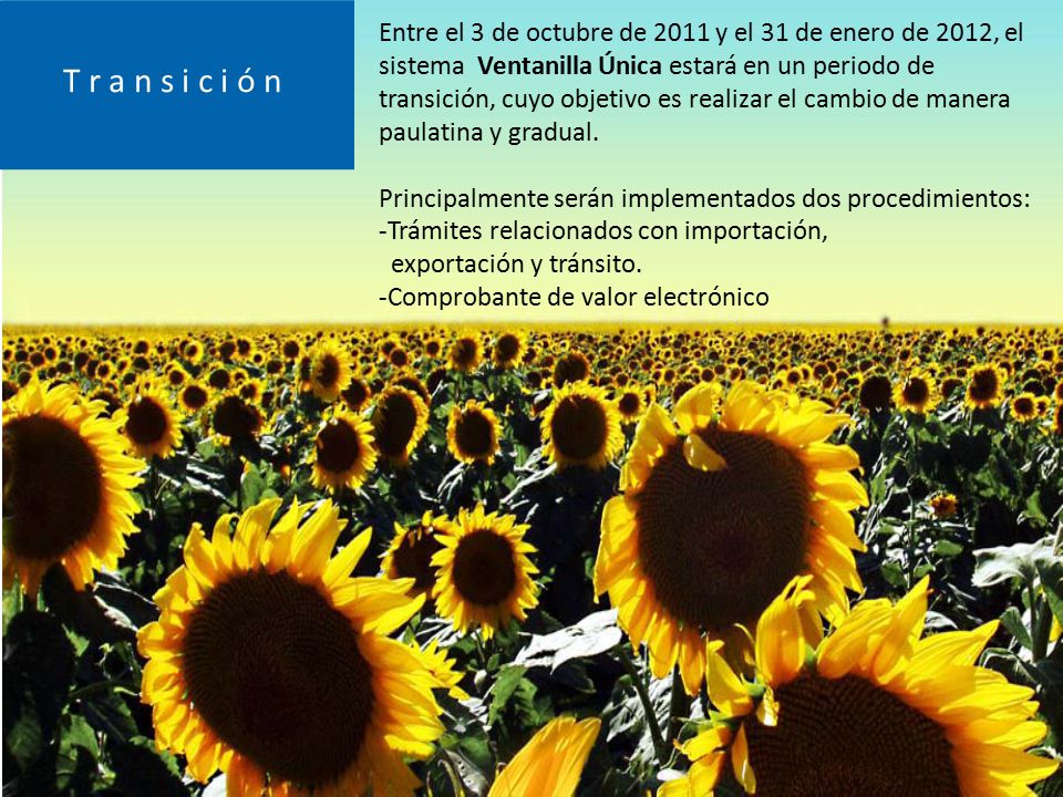 Entre el 3 de octubre de 2011 y el 31 de enero de 2012, el sistema Ventanilla Única estará en un periodo de transición, cuyo objetivo es realizar el cambio de manera paulatina y gradual.
