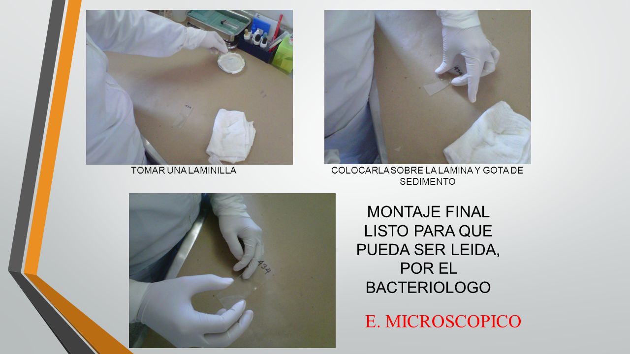 TOMAR UNA LAMINILLA COLOCARLA SOBRE LA LAMINA Y GOTA DE SEDIMENTO. MONTAJE FINAL LISTO PARA QUE PUEDA SER LEIDA, POR EL BACTERIOLOGO.