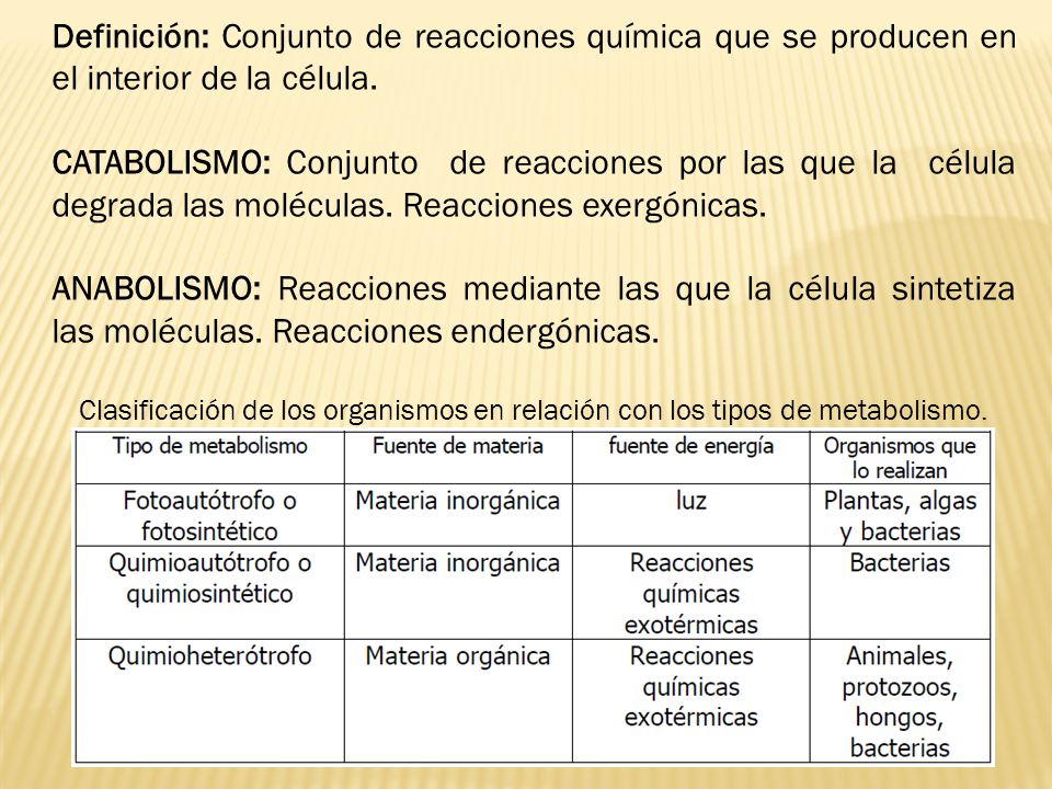 Definición: Conjunto de reacciones química que se producen en el interior de la célula.