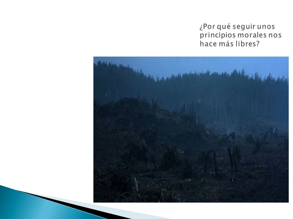 ¿Por qué seguir unos principios morales nos hace más libres