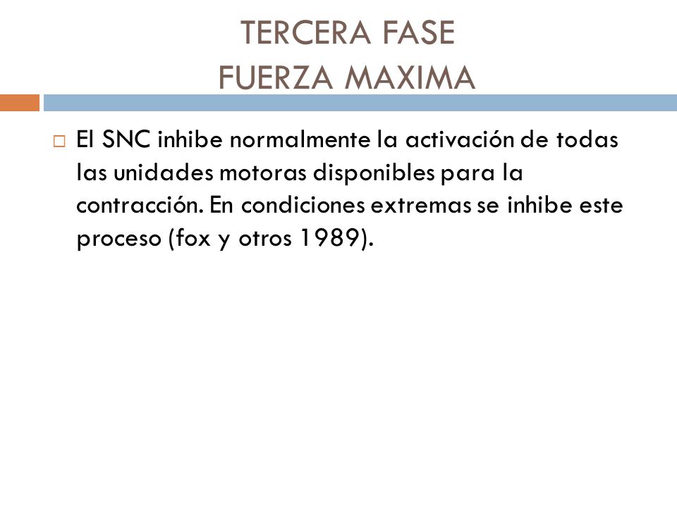 TERCERA FASE FUERZA MAXIMA