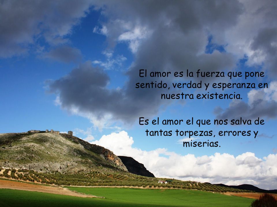 Es el amor el que nos salva de tantas torpezas, errores y miserias.