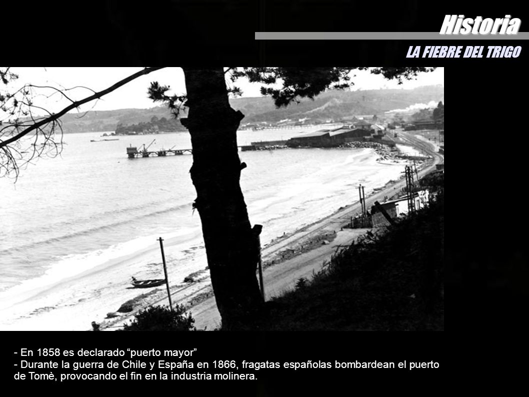 Historia LA FIEBRE DEL TRIGO - En 1858 es declarado puerto mayor