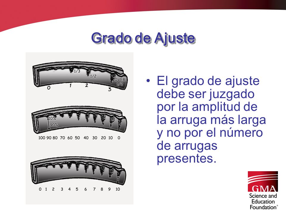 Grado de Ajuste El grado de ajuste debe ser juzgado por la amplitud de la arruga más larga y no por el número de arrugas presentes.