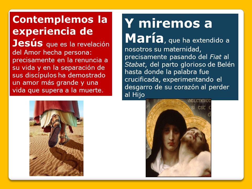 Contemplemos la experiencia de Jesús que es la revelación del Amor hecha persona: precisamente en la renuncia a su vida y en la separación de sus discípulos ha demostrado un amor más grande y una vida que supera a la muerte.