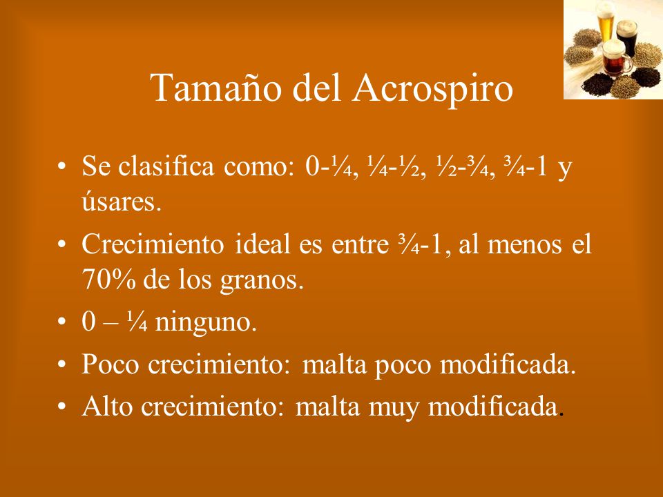 Tamaño del Acrospiro Se clasifica como: 0-¼, ¼-½, ½-¾, ¾-1 y úsares.
