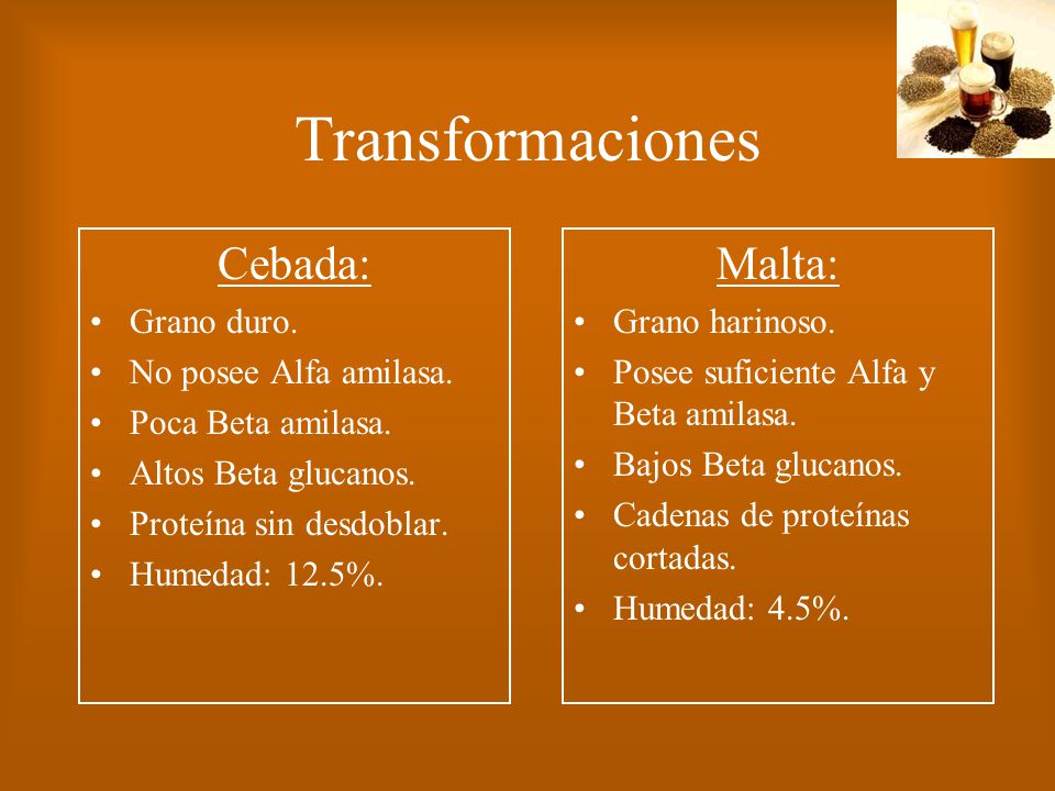 Transformaciones Cebada: Malta: Grano duro. No posee Alfa amilasa.