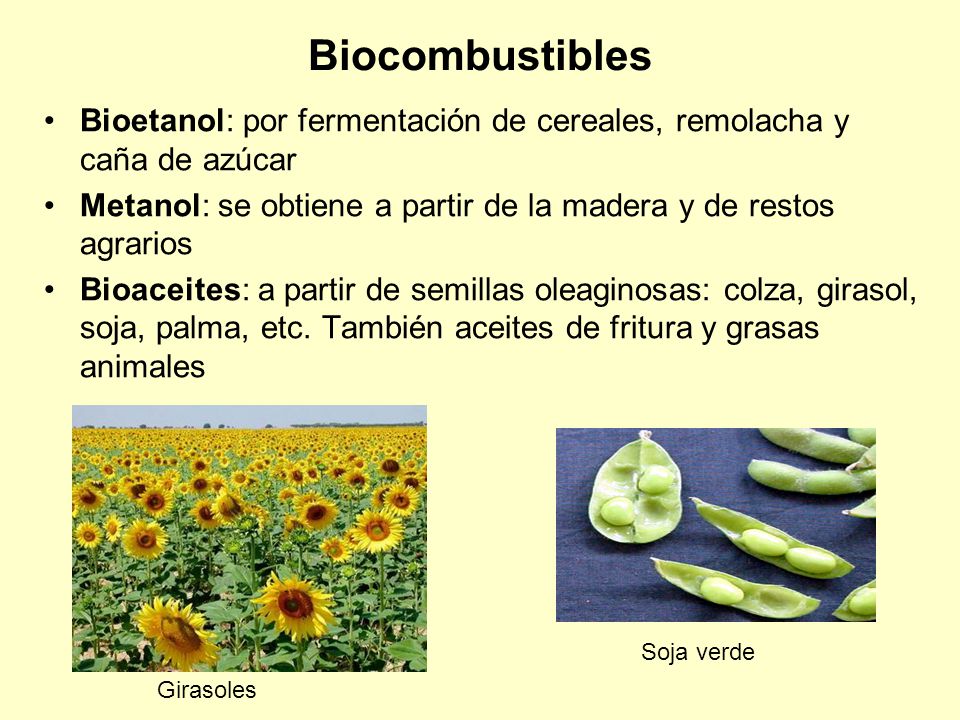 Biocombustibles Bioetanol: por fermentación de cereales, remolacha y caña de azúcar. Metanol: se obtiene a partir de la madera y de restos agrarios.