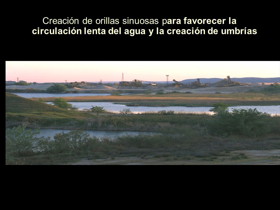 Creación de orillas sinuosas para favorecer la circulación lenta del agua y la creación de umbrías