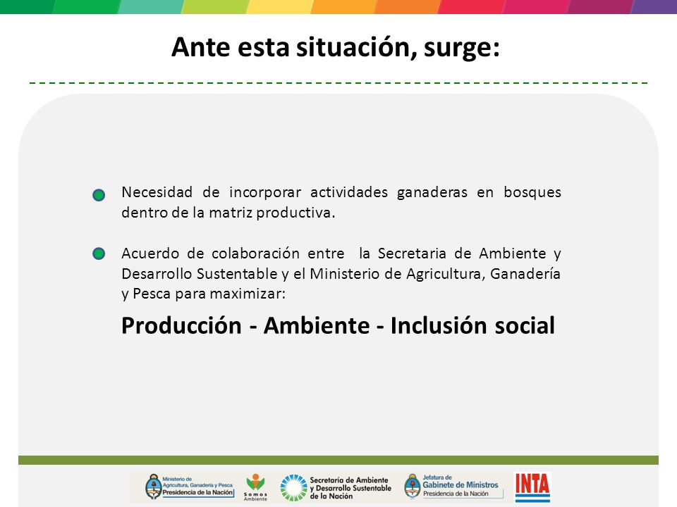 Ante esta situación, surge: Producción - Ambiente - Inclusión social