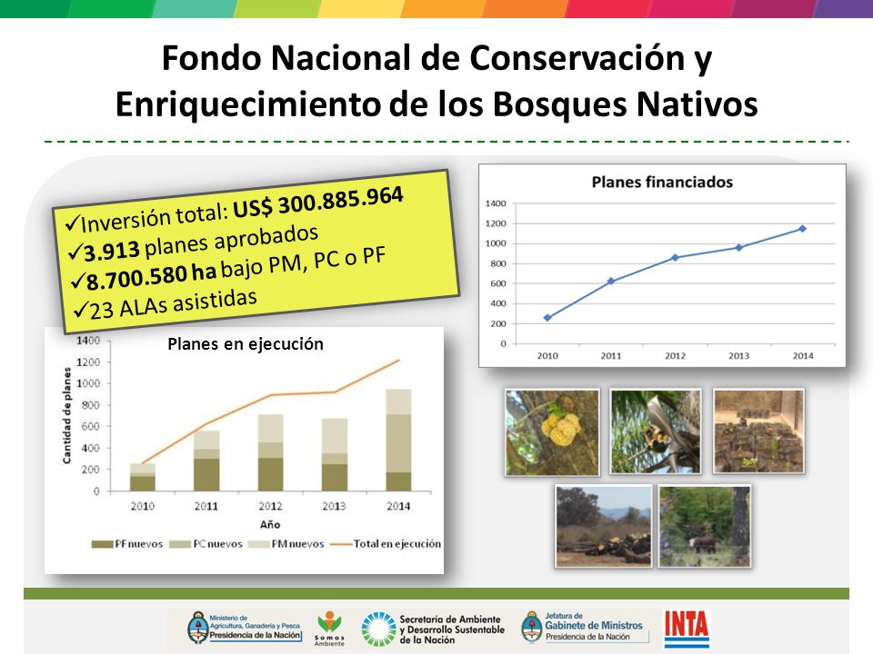 Fondo Nacional de Conservación y Enriquecimiento de los Bosques Nativos