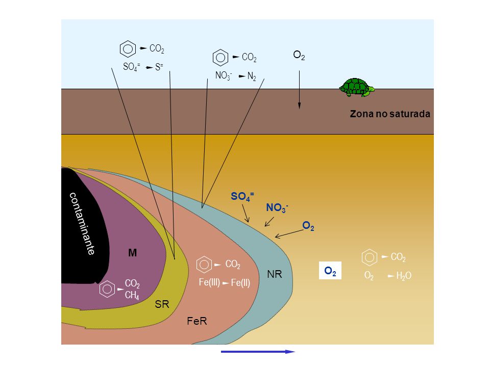 SO4= NO3- contaminante M O2 NR SR FeR S= N2 Zona no saturada H2O CO2