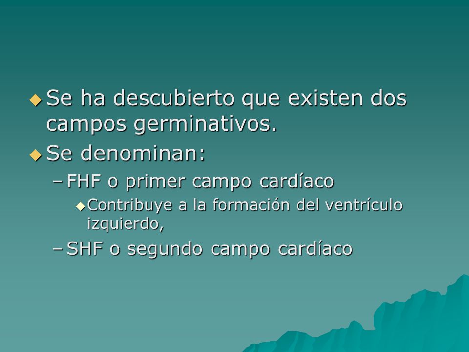 Se ha descubierto que existen dos campos germinativos. Se denominan: