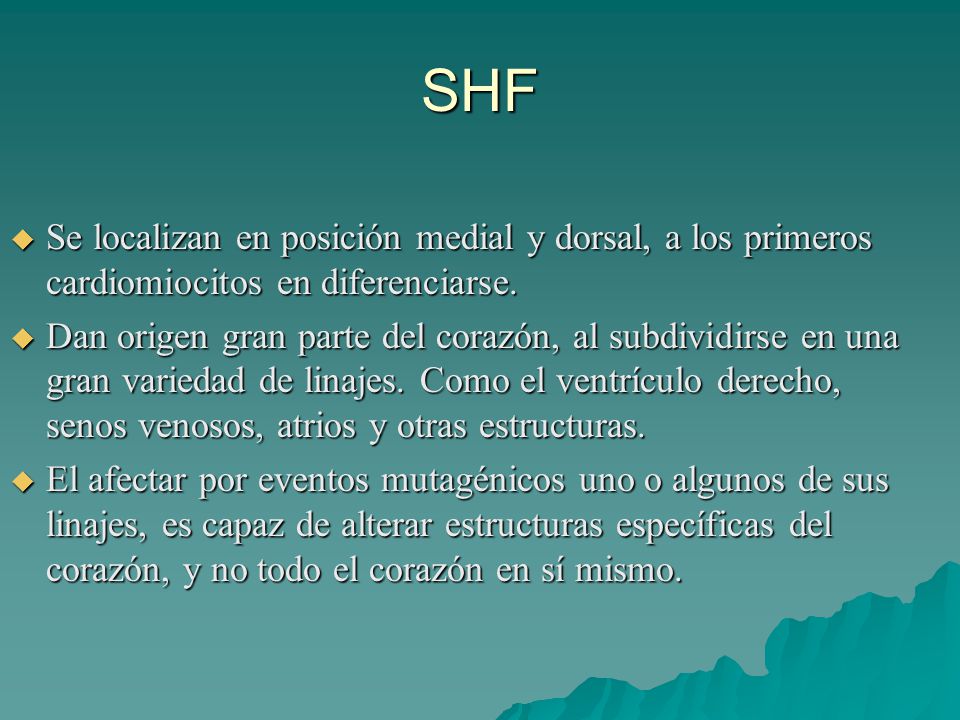 SHF Se localizan en posición medial y dorsal, a los primeros cardiomiocitos en diferenciarse.