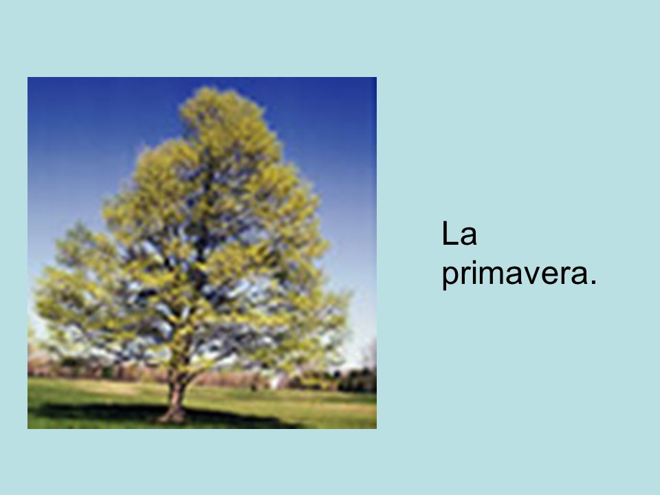La primavera.
