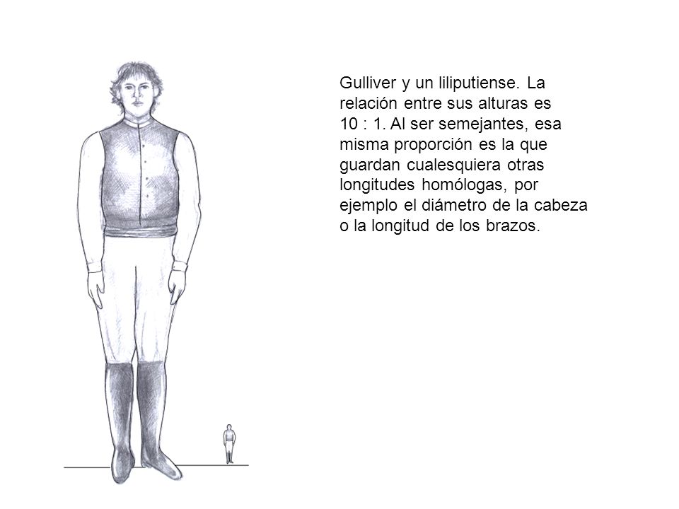 Gulliver y un liliputiense. La relación entre sus alturas es