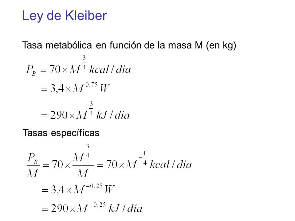 Ley de Kleiber Tasa metabólica en función de la masa M (en kg)
