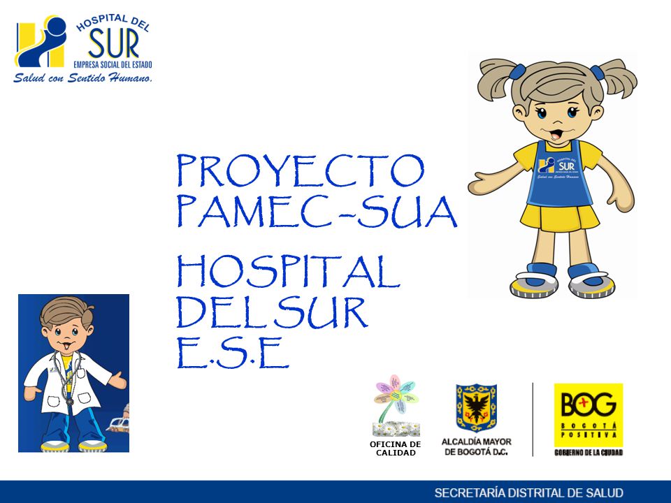 PROYECTO PAMEC –SUA HOSPITAL DEL SUR E.S.E OFICINA DE CALIDAD