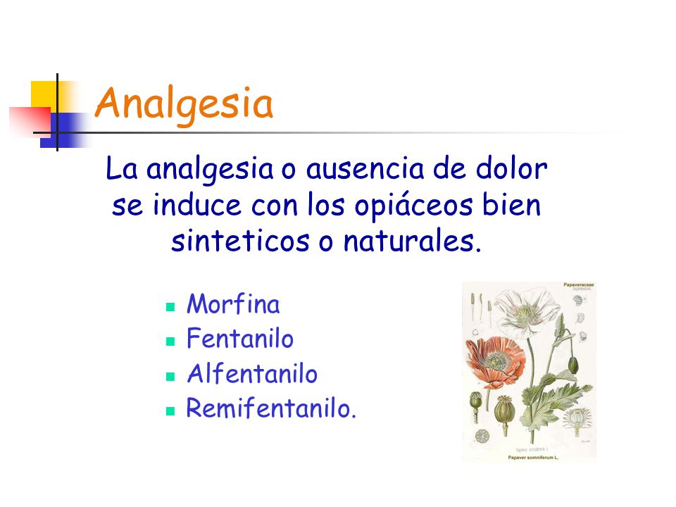 Analgesia La analgesia o ausencia de dolor se induce con los opiáceos bien sinteticos o naturales. Morfina.