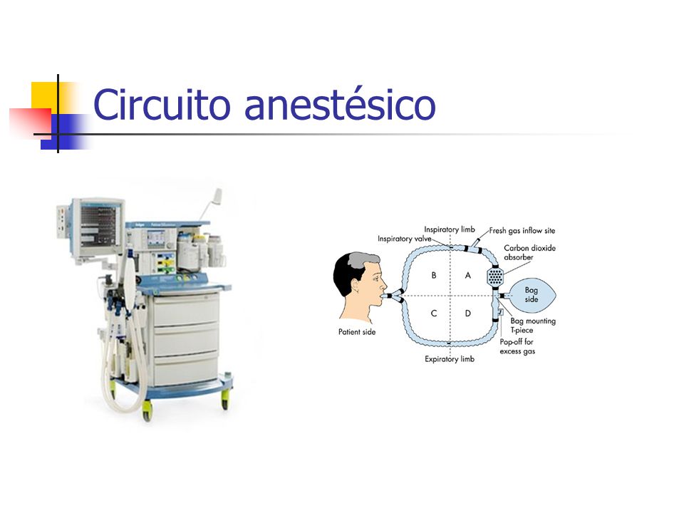 Circuito anestésico