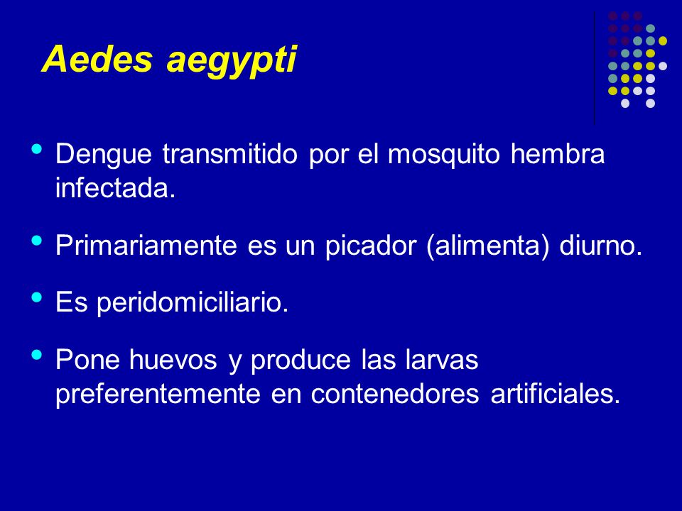 Aedes aegypti Dengue transmitido por el mosquito hembra infectada.