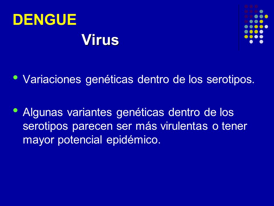 DENGUE Virus Variaciones genéticas dentro de los serotipos.