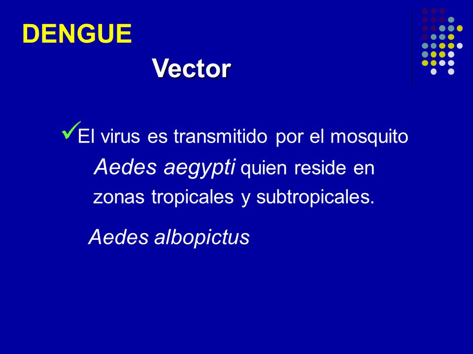DENGUE Vector Aedes aegypti quien reside en Aedes albopictus