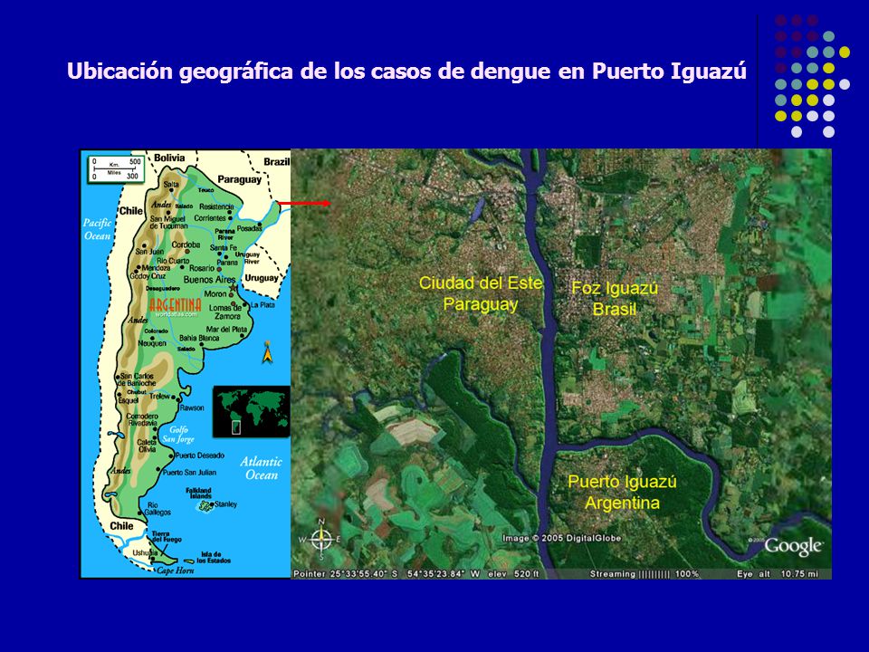 Ubicación geográfica de los casos de dengue en Puerto Iguazú