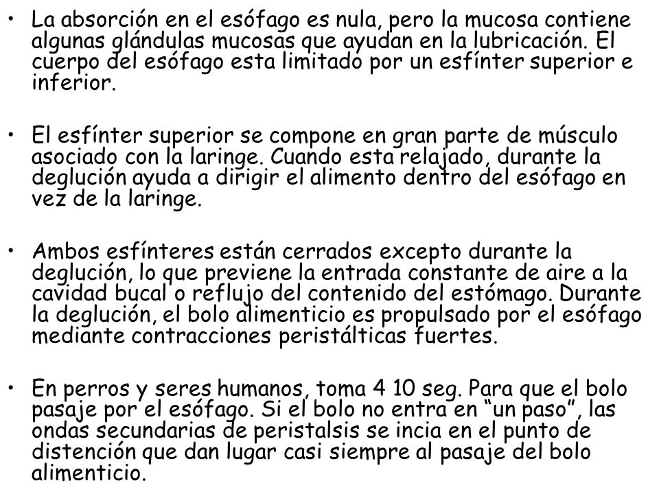 La absorción en el esófago es nula, pero la mucosa contiene algunas glándulas mucosas que ayudan en la lubricación. El cuerpo del esófago esta limitado por un esfínter superior e inferior.