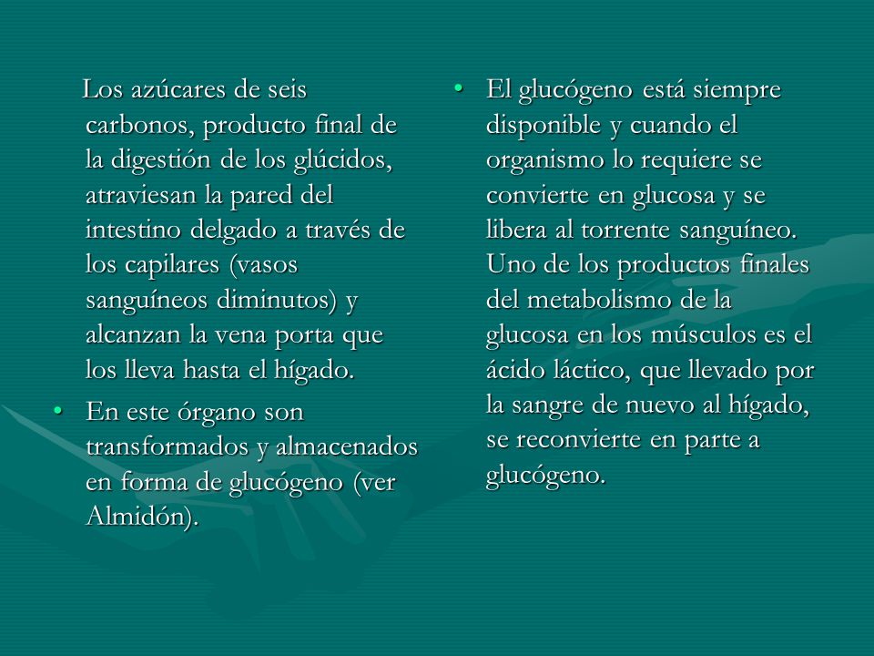 Los azúcares de seis carbonos, producto final de la digestión de los glúcidos, atraviesan la pared del intestino delgado a través de los capilares (vasos sanguíneos diminutos) y alcanzan la vena porta que los lleva hasta el hígado.