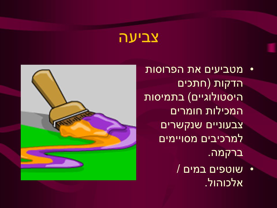 צביעה מטביעים את הפרוסות הדקות (חתכים היסטולוגיים) בתמיסות המכילות חומרים צבעוניים שנקשרים למרכיבים מסויימים ברקמה.