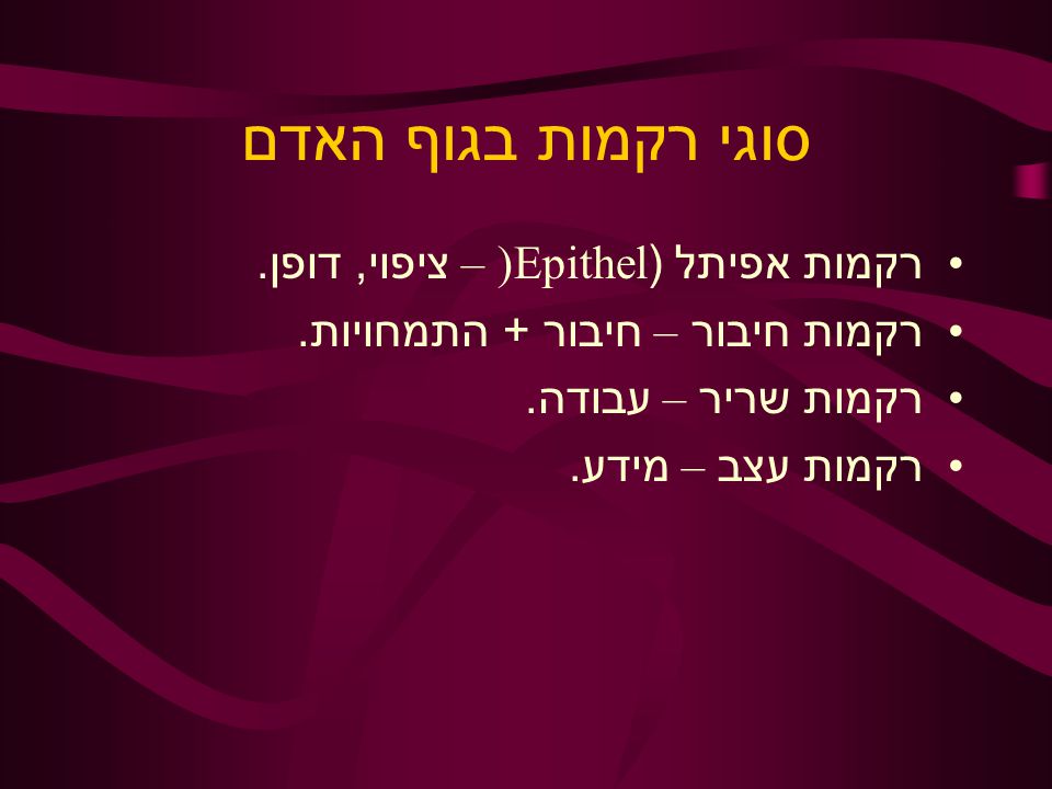 סוגי רקמות בגוף האדם רקמות אפיתל (Epithel) – ציפוי, דופן.