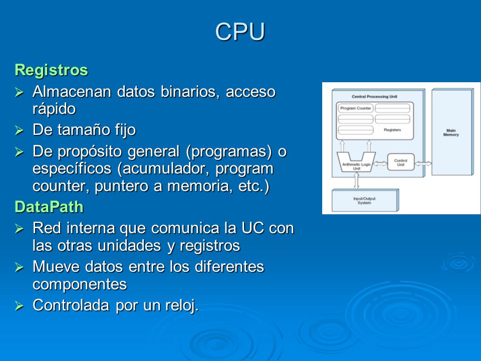 CPU Registros Almacenan datos binarios, acceso rápido De tamaño fijo