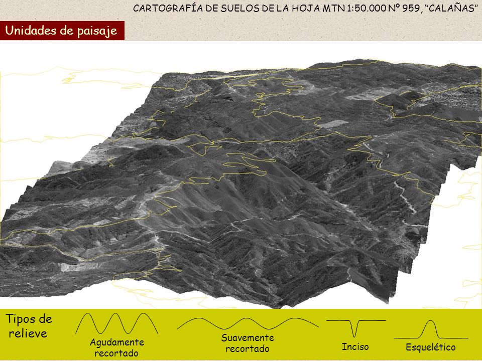 CARTOGRAFÍA DE SUELOS DE LA HOJA MTN 1: Nº 959, CALAÑAS