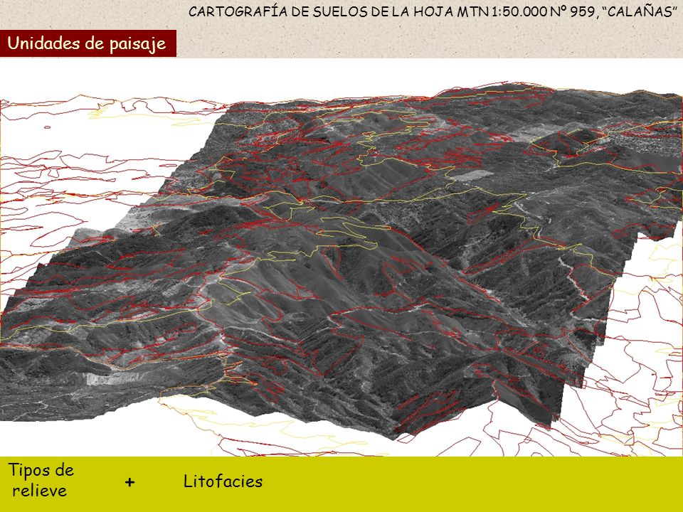CARTOGRAFÍA DE SUELOS DE LA HOJA MTN 1: Nº 959, CALAÑAS