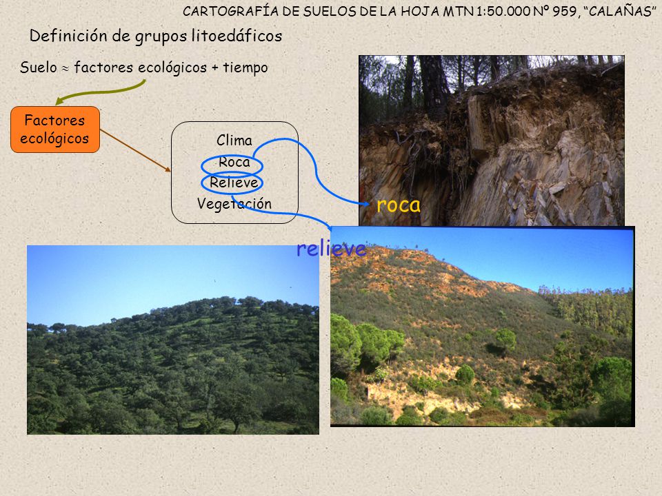 CARTOGRAFÍA DE SUELOS DE LA HOJA MTN 1: Nº 959, CALAÑAS