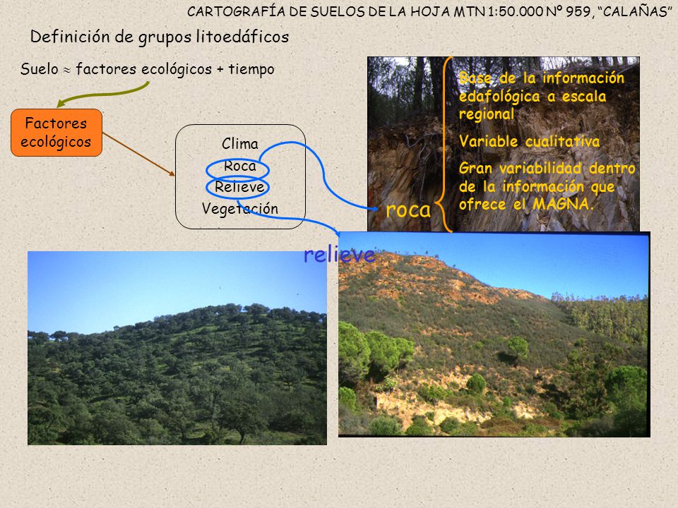 CARTOGRAFÍA DE SUELOS DE LA HOJA MTN 1: Nº 959, CALAÑAS