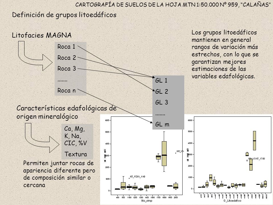 CARTOGRAFÍA DE SUELOS DE LA HOJA MTN 1: Nº 959, CALAÑAS