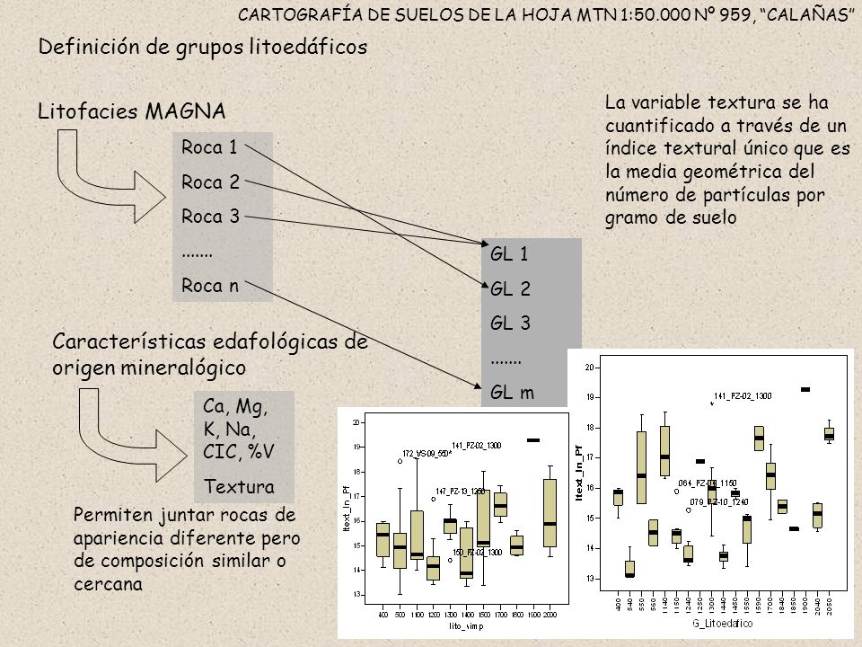 CARTOGRAFÍA DE SUELOS DE LA HOJA MTN 1: Nº 959, CALAÑAS