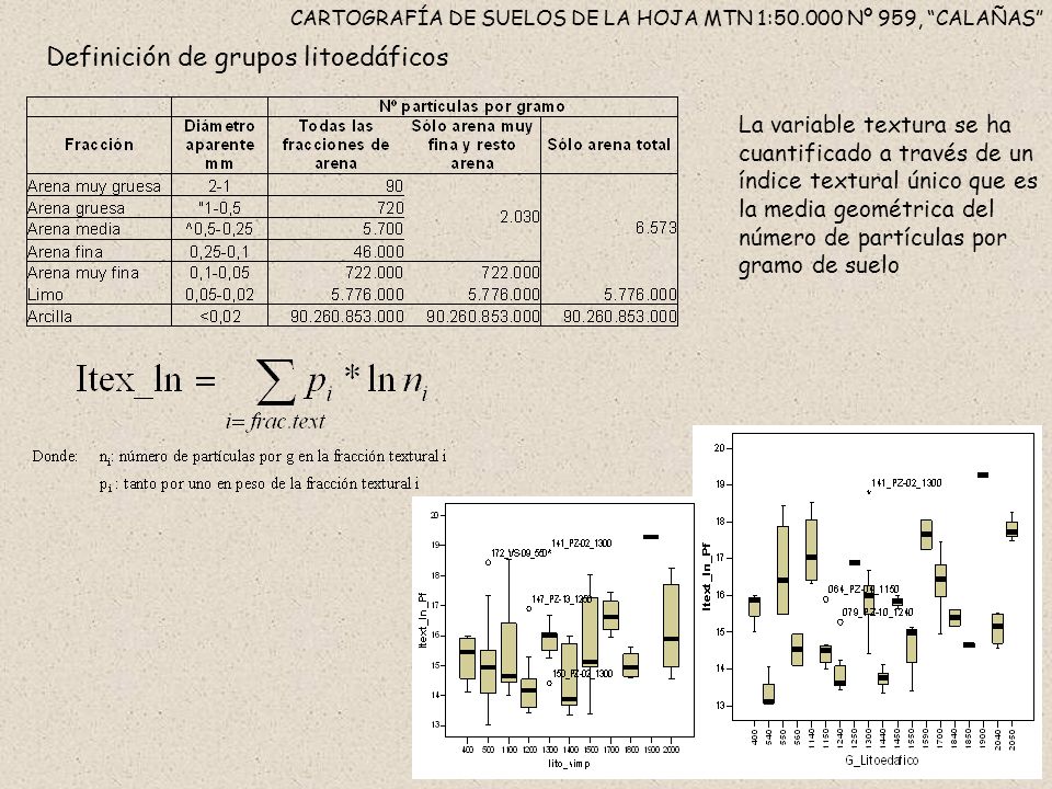 CARTOGRAFÍA DE SUELOS DE LA HOJA MTN 1: Nº 959, CALAÑAS