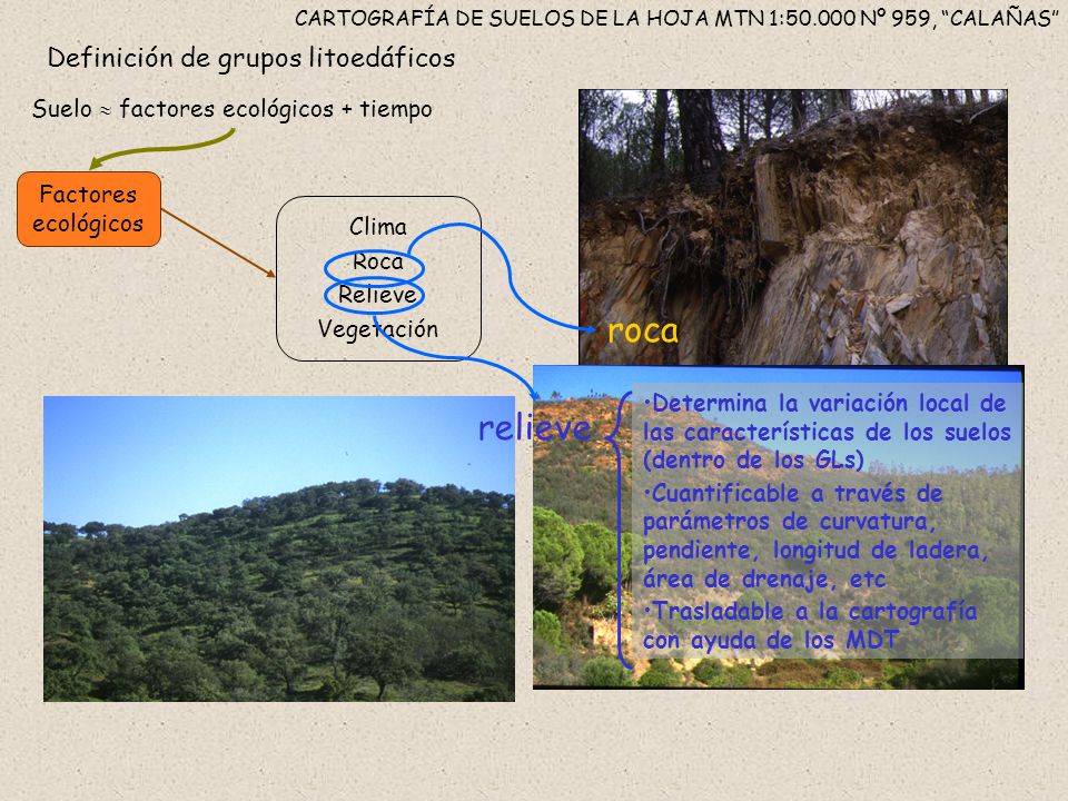 CARTOGRAFÍA DE SUELOS DE LA HOJA MTN 1: Nº 959, CALAÑAS