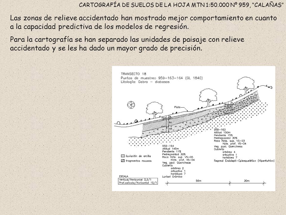 CARTOGRAFÍA DE SUELOS DE LA HOJA MTN 1: Nº 959, CALAÑAS