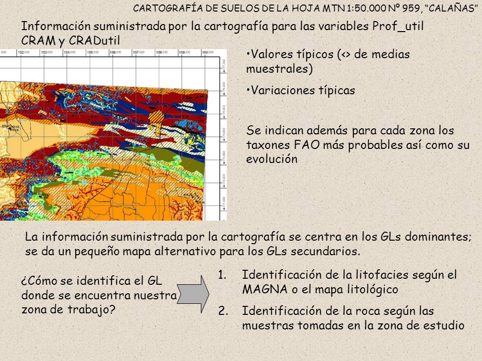 CARTOGRAFÍA DE SUELOS DE LA HOJA MTN 1: Nº 959, CALAÑAS