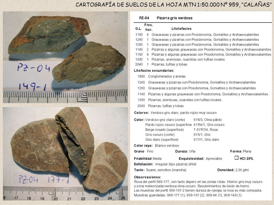 CARTOGRAFÍA DE SUELOS DE LA HOJA MTN 1: Nº 959, CALAÑAS